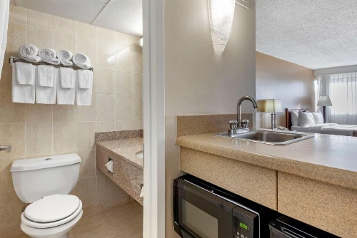 Quality Inn & Suites Vestal Binghamton Near University image 37